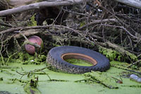 Tire caught in a snag