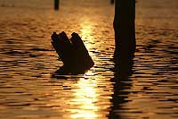 Sunset at Assabet Reservoir