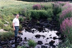 Dry streambed below the A1 Impoundment